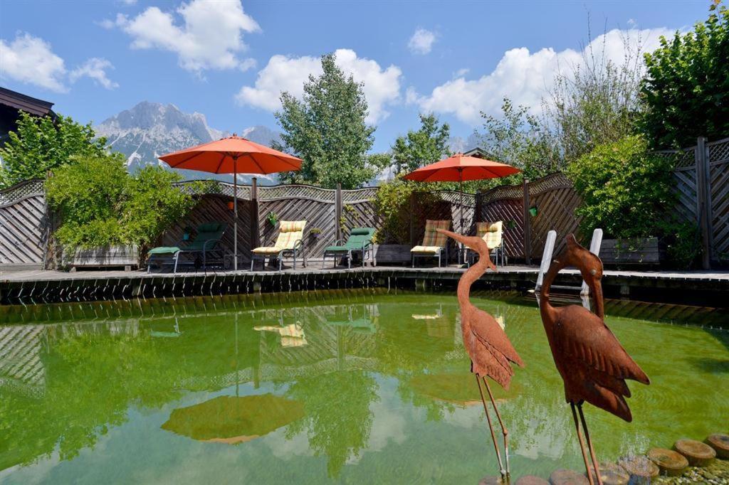 Alpenresidenz Unterrainer Διαμέρισμα Ellmau Εξωτερικό φωτογραφία